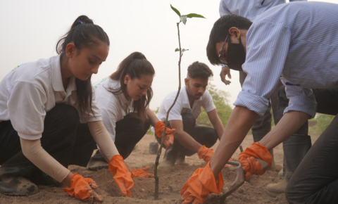 Best College for Agriculture in Uttarakhand Dehradun