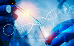 pithuwala blog image (14)