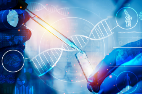 pithuwala blog image (14)